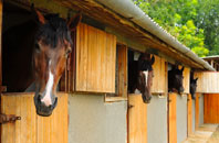 free Holdworth stable construction quotes